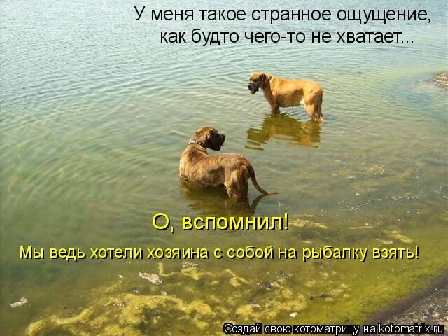 Почему такое чувство как будто. Чего то не хватает. ощущение будто чего то не хватает. когда чего то не хватает. как будто-то, чего-то не хватает.