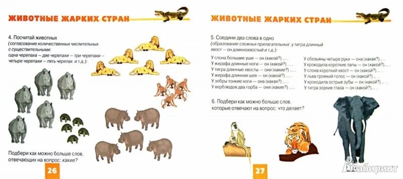 Неделя в жаркие страны