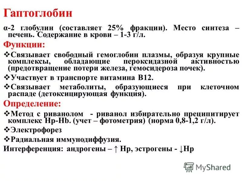 Гаптоглобин место синтеза. Гаптоглобин белок острой фазы. Функции гаптоглобина. Глобулины функции в крови. Что такое глобулин