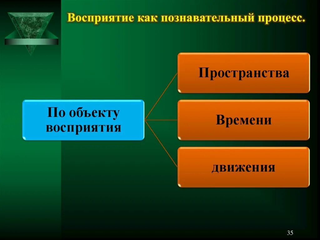 8 познавательных процессов. Познавательные процессы. Познавательные процессы схема. Презентация на тему Познавательные процессы. Познавательные психические процессы.