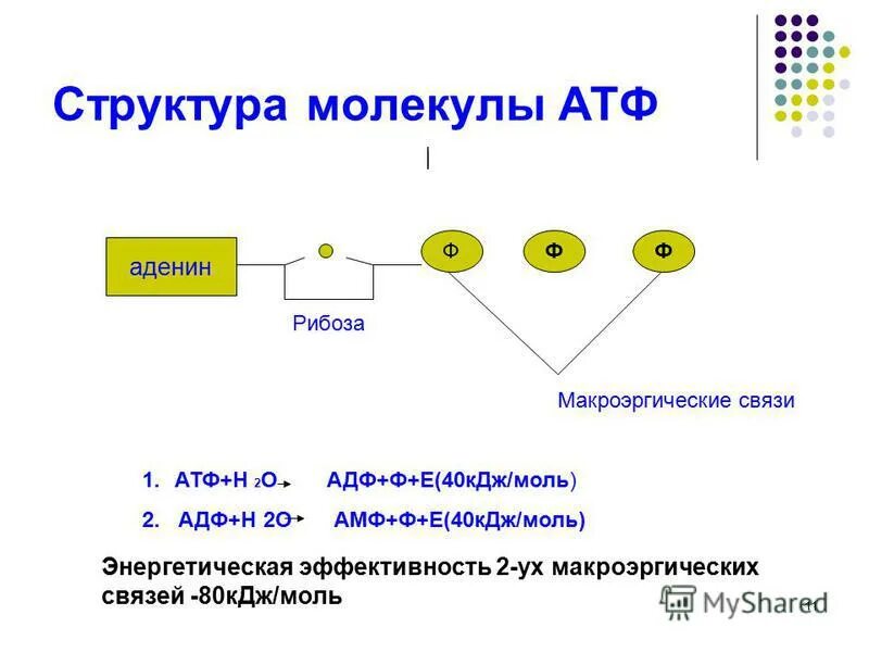 Клетка содержит атф. Структура молекулы АТФ. Строение молекулы АТФ. Типы связей в молекуле АТФ. Схема структуры молекулы АТФ.