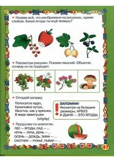 Грибы ягоды задания для дошкольников