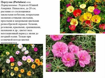 Ничто не шевелилось ни одна травка