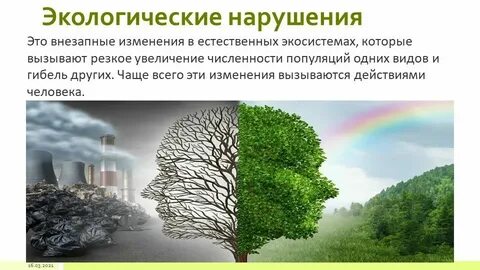 Причины экологических заболеваний