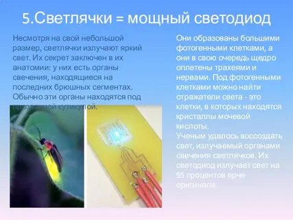 Технологии заимствованные у природы
