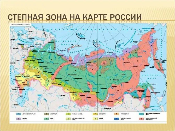 Карта природно хозяйственных зон россии 8 класс. Степная зона на карте. Степи на карте России. Природные зоны России карта 8 класс. Карта природных зон России 4.