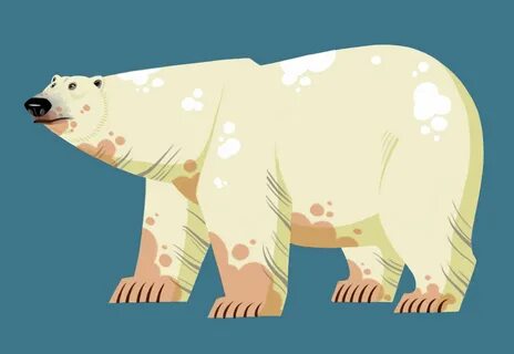 Wild Kratts a TV3 Polar bear illustration, Bear art, Bear illustration.