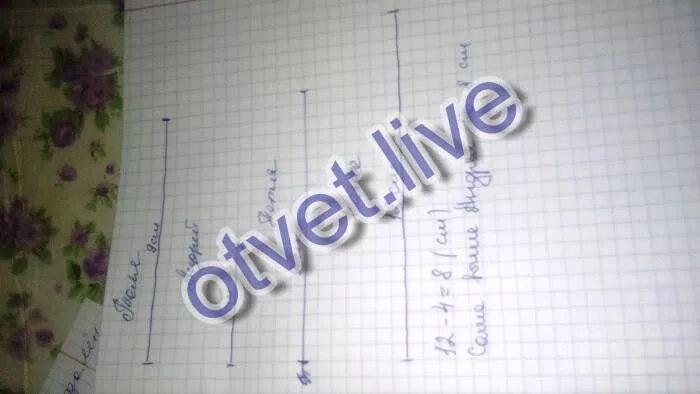 Толя выше андрея на 5 см. Математика 2 класс рабочая тетрадь 2 часть моро волкова. Толя выше андрея. Толя выше андр. Толя выше андрея на 5 см схематический.