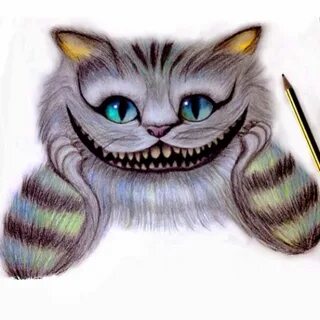 Алиса нарисуй котика