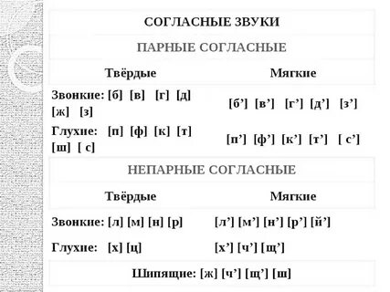 Раскраска Задание по русскому языку с подчеркиванием мягких согласных и словами: