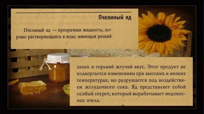 Пчелиная пыльца польза и вред. Пыльца пчелиная польза. полезен ли пчелиный яд для человека. пчелиный яд польза. чем полезен пчелиный яд для человека.