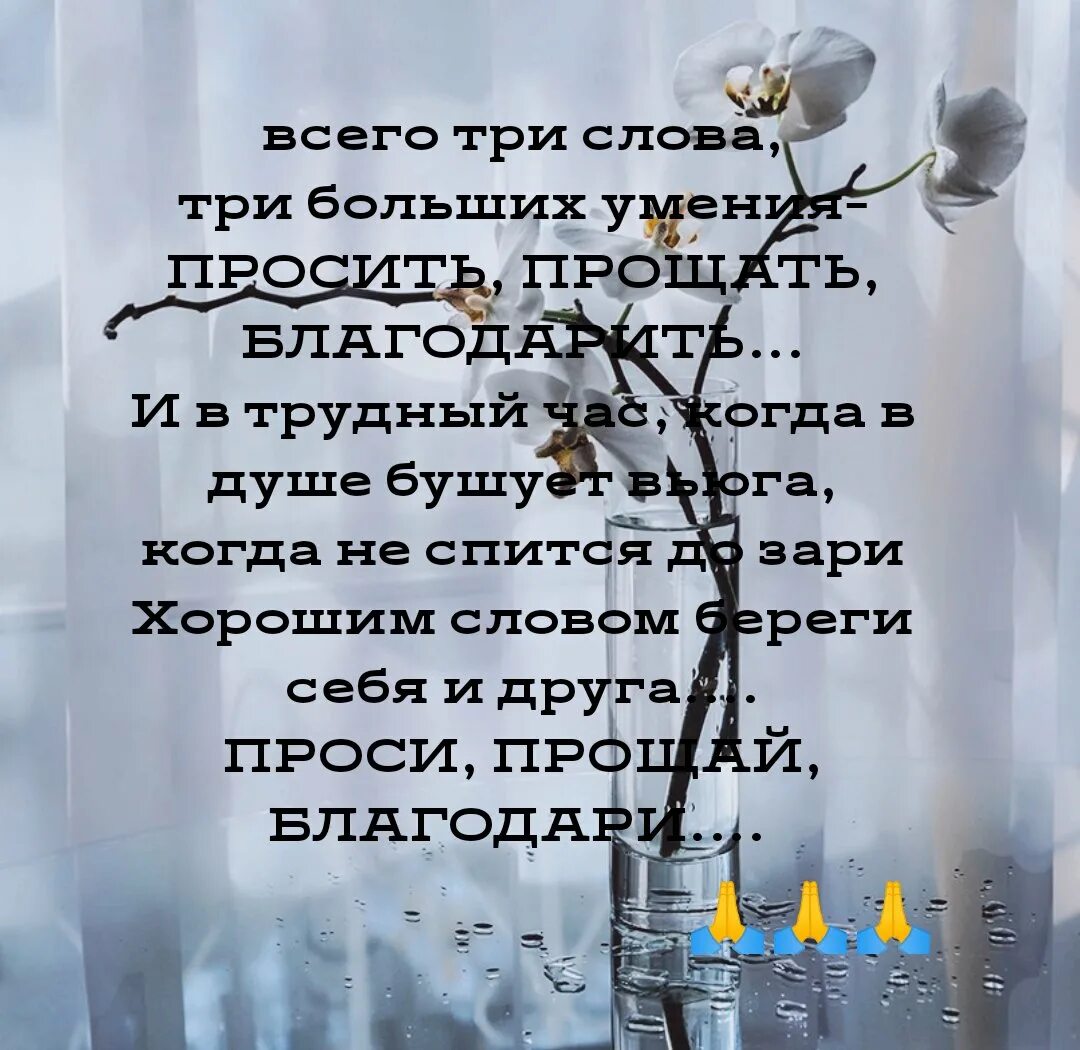 Умение просить прощение и прощать. Благодарю и прошу прощения. Стихи об умении прощать. Высказывания об умении прощать.