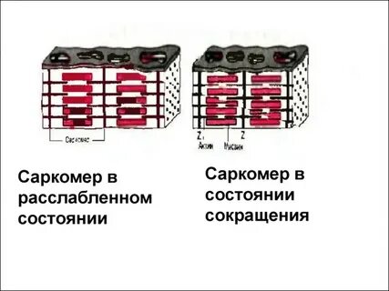 Сократили состояние