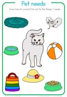 Pet needs