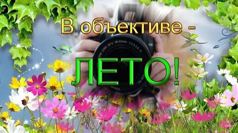 Чисто лет