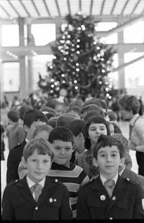 Декабрь 1976 года