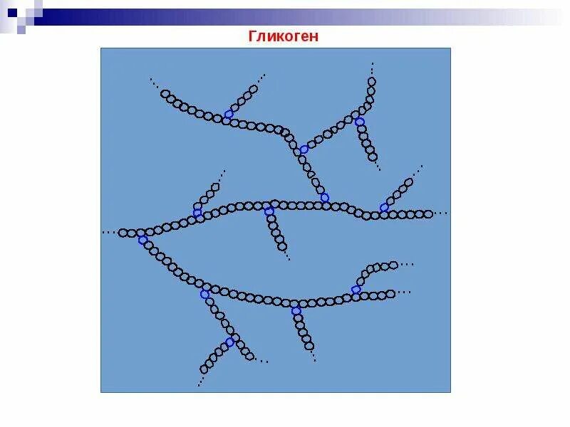 Гликоген рисунок. Гликоген полисахарид. Запасает гликоген. Полисахариды рисунок.