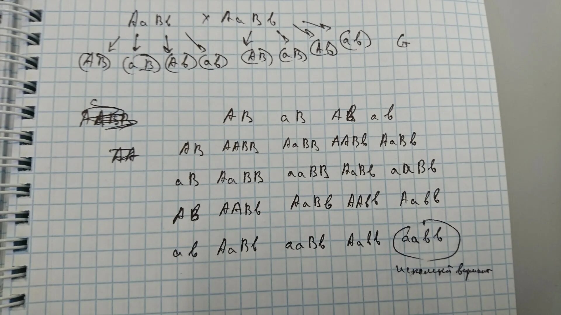 У праворуких кареглазых родителям. Рождение кареглазых праворуких детей у дигетерозигот:. Голубоглазый правша доминантный признак женился на кареглазой Левше.