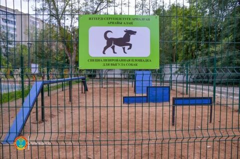 Место для выгула собак