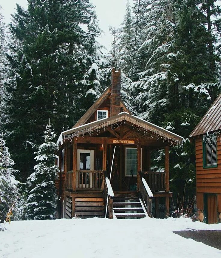 Пихта хаус. Елки хаус архыз. пихта хаус архыз. cabin chalet архыз. cabin shale архыз.