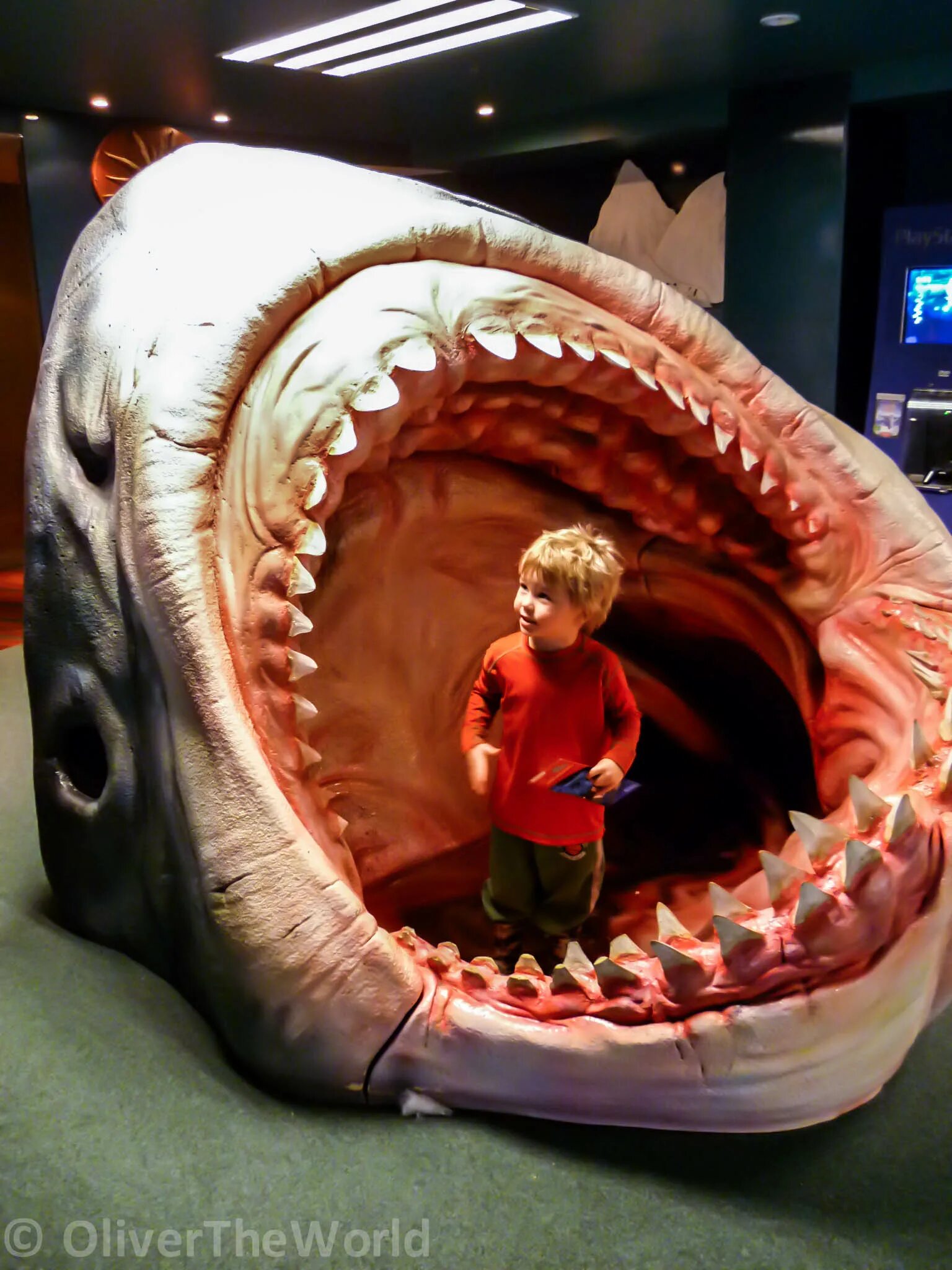 Самая большая пасть. Акула МЕГАЛОДОН челюсть. Зуб акулы МЕГАЛОДОН. МЕГАЛОДОН челюсть. Пасть акулы МЕГАЛОДОН.