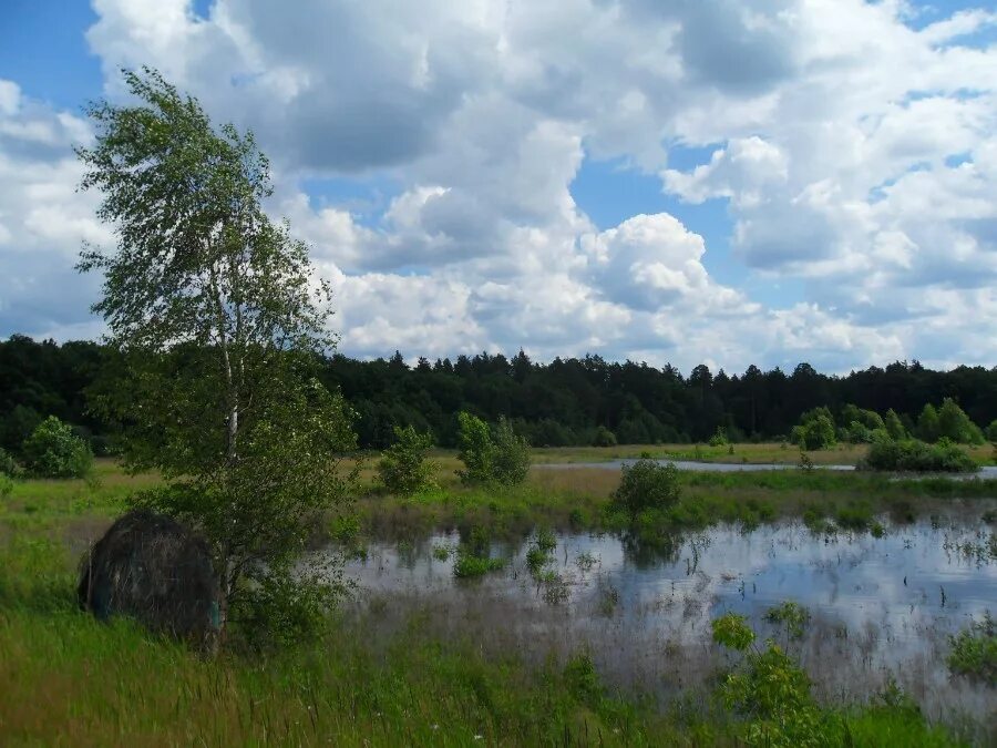 Вода затопила луга. Аблязовские Луга. ООПТ Аблязовские Луга. Вятские Луга. Затопленные Луга.