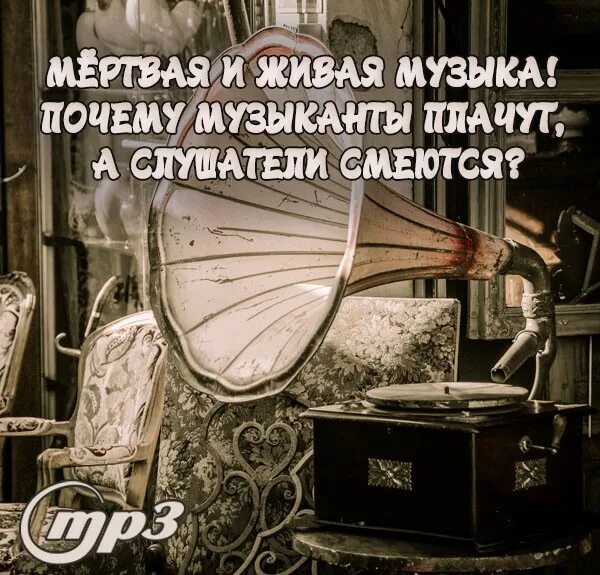 Угадай hann аккорды. On song. Рингтон песни жива. Рингтон песни жива. Скриншот песни.