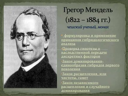 Чехов ученый