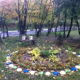Сад очередь московская