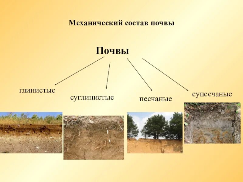 Структура почвы. Механический состав почвы. Состав почвы схема. Почва схема. Механический состав почвы 8