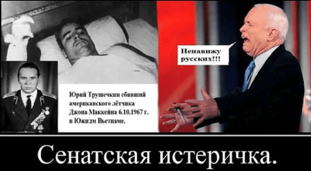 Ненавижу европу. Маккейн приколы. ненавижу россию. маккейн фотожаба. маккейн демотиватор.