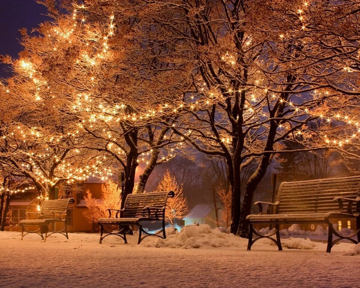 Вечер декабрь. Зимний парк. Зима в городе. Зимний вечер. Зима. К вечеру.