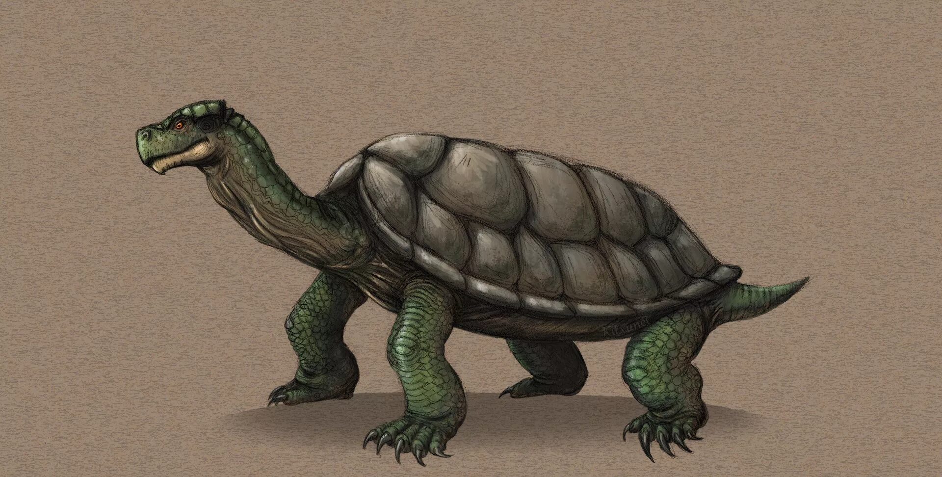 Динозавры триасового периода. Черепаха динозавр. Архелон гигантская черепаха. Карбонемис вымершие. Черепаха карбонемис доисторическая.