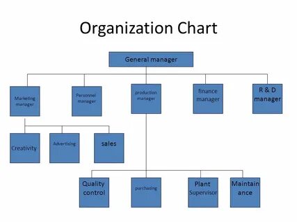 Organise the company