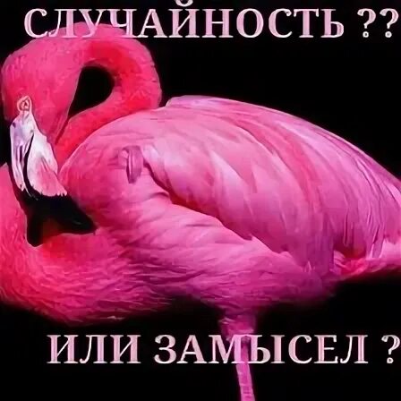 Случайное совпадение это