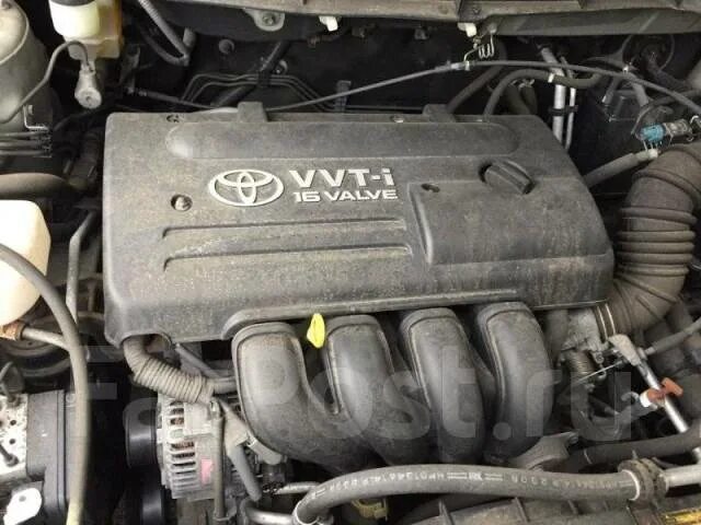 Купить Toyota 8112521140 (81125-21140) Провод Электрический для Toyota Caldina. 