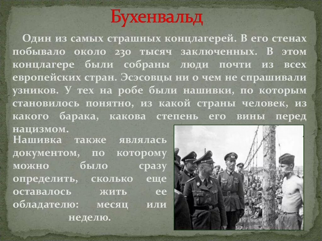 Второй мир это в истории. Бухенвальд история кратко. Узники Великой Отечественной войны. Дети концлагерей в годы Великой Отечественной войны.