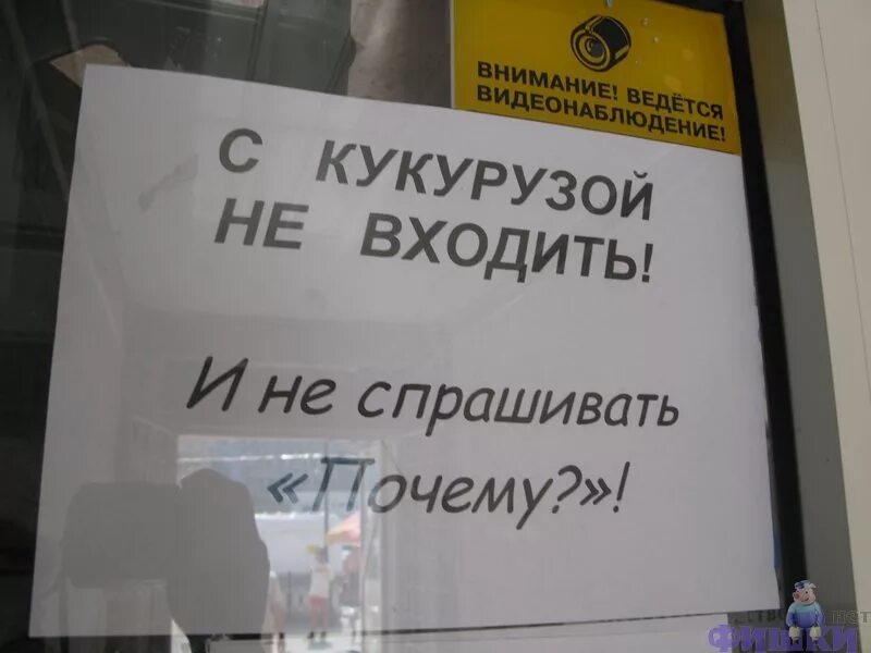 Кукуруза юмор. Кукуруза царица полей хрущев. Анекдот про кукурузу. Хрущев и кукуруза мем. Анекдот про хрущева и кукурузу.