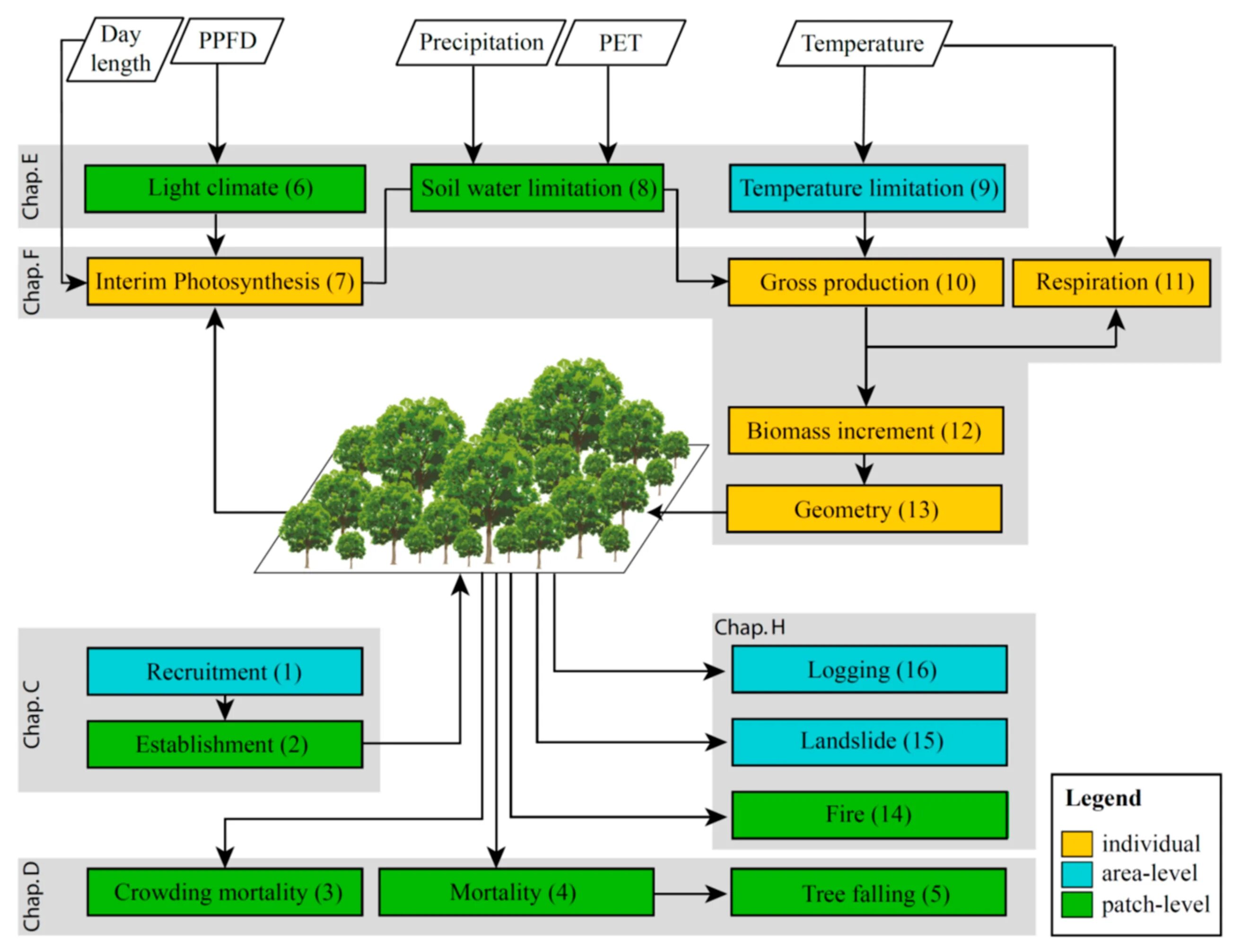 Process complete. Tree detection. tree process water. программа forestmonitoring. 1.2 the advantage of uavs in monitoring forestry.