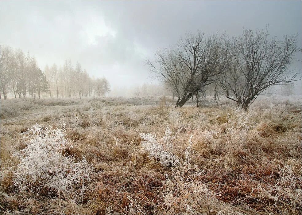 Поздней осени какое число. Поле поздней осенью. Сухая поздняя осень. Поздняя осень в поле. Трава поздней осенью.