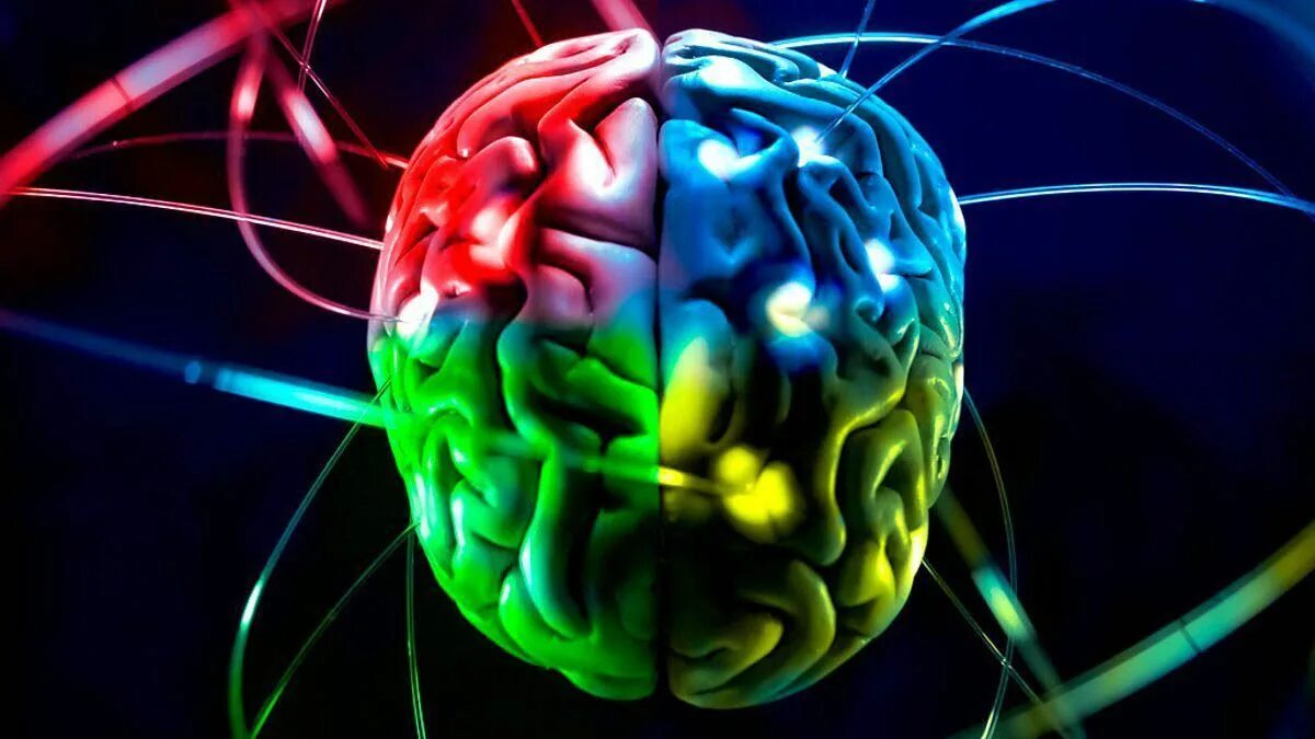 G brains. Мозг картинка. Красивый мозг.