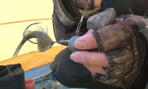 Видео рыбалка осенью на налима
