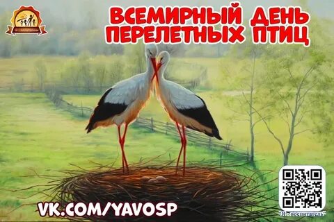 Всемирный день перелетных птиц в детском саду