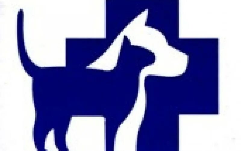 Киреевск ветеринарная. Киреевск ветеринарная. Ветеринар в селе. Ветклиника в растуново. Киреевск ветеринарная.