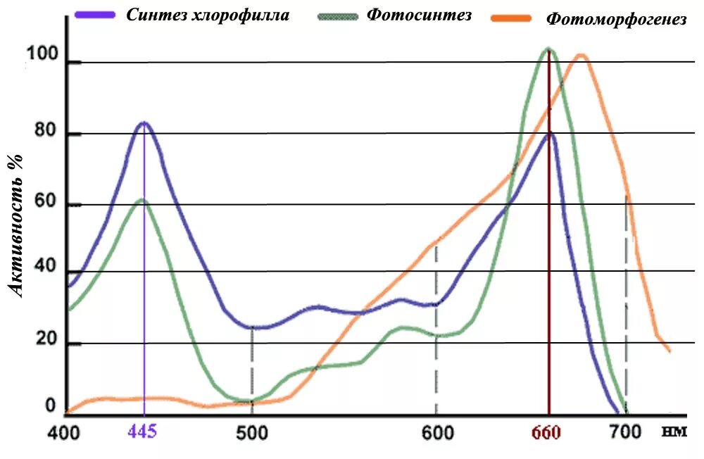 Спектр солнечного света. Светодиод 850нм спектр. Спектр излучения фитоламп. Спектры для растений. Спектр светодиодных ламп для растений.