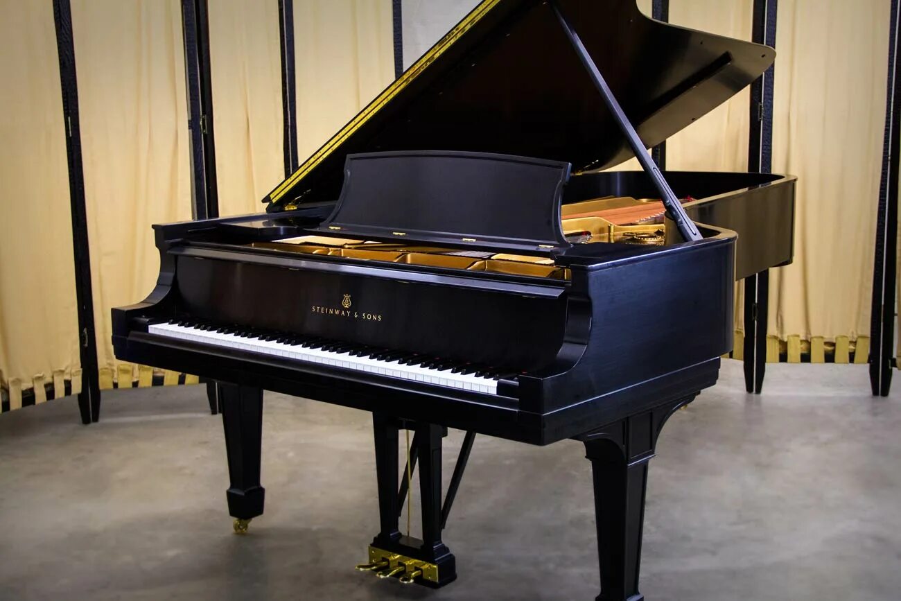 Рояль becker cbgp-162pb-2. Steinway с скрытыми колесиками. Yamaha b3 пианино. Стейнвей гранд модель секунда. Стейнвей гранд.