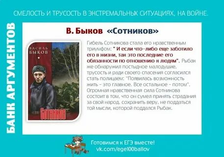 Аргументы из произведения уроки французского