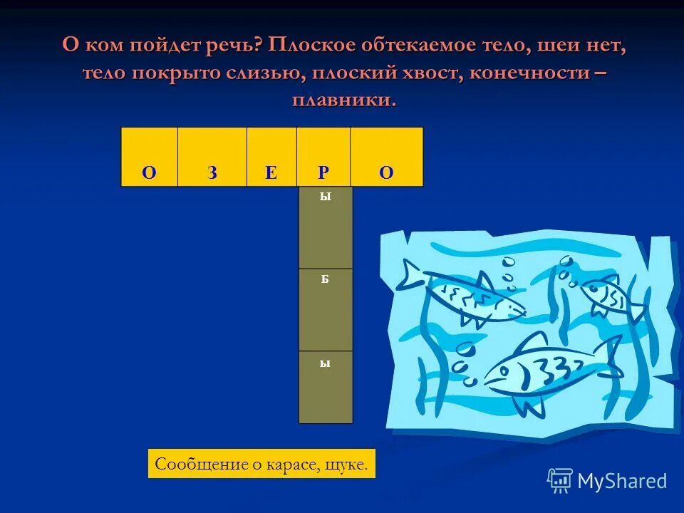 обтекаемая форма тела. королевский пингвин. обтекаемая форма тела.
