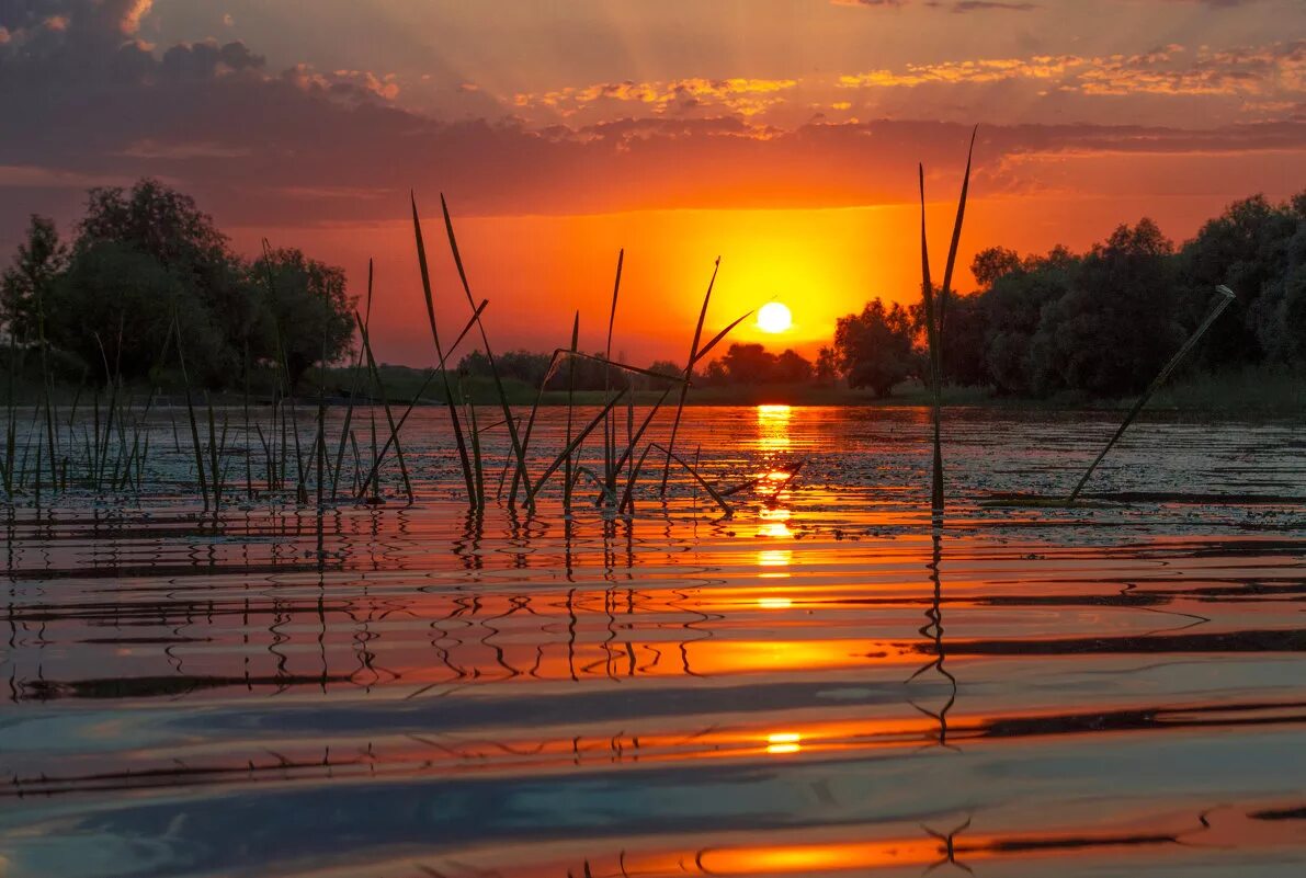красивый закат. астраханские пейзажи. рассвет в астрахани. рассвет в астрахани. заход солнца астрахань.