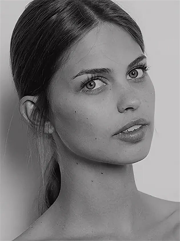 Laurens model. Laurens model